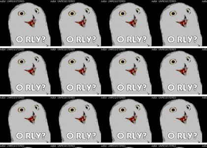 ORLY OWLS . GIF