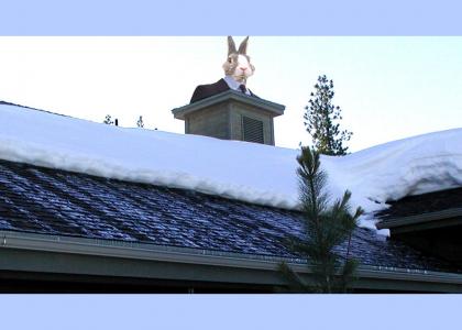 Shingled Roof