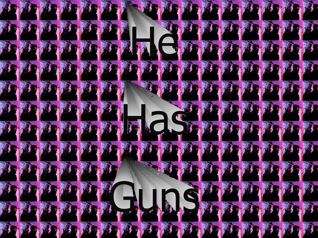 enighasguns