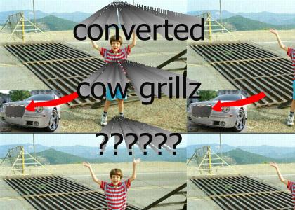 converted cow grills