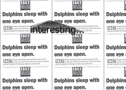 Fact or Crap: Dolphins
