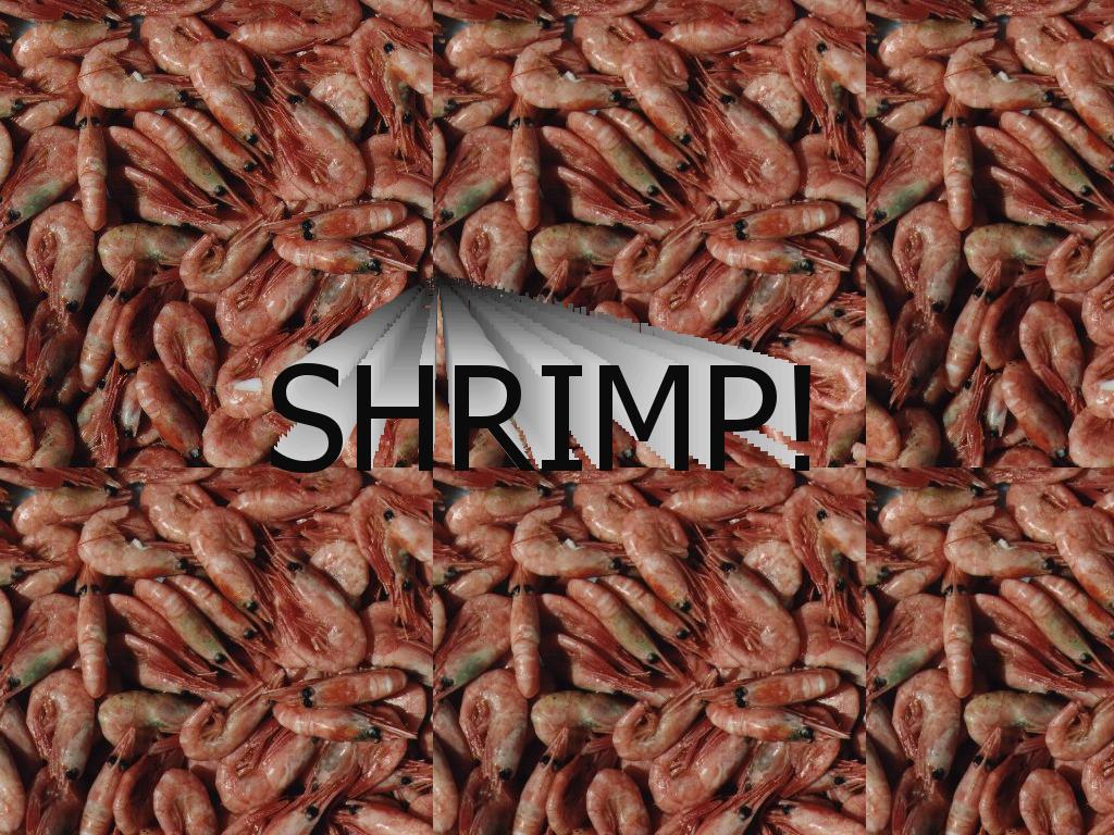 shrimpbubba