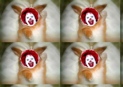 Ronald McDonald (Bunny)