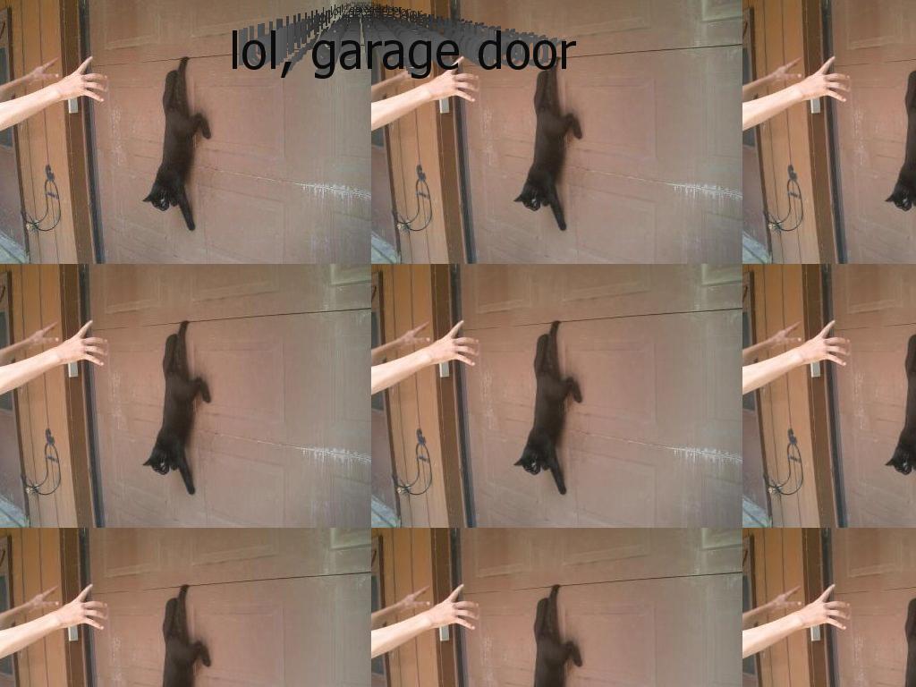 gravitycatgarage