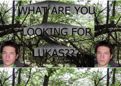 lukas is looking for something...