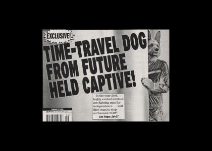 Time-Travel Dog's Safety Not Guaranteed