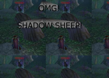 OMG SHADOW SHEEP!