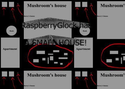 RaspberryGlock has a small house!