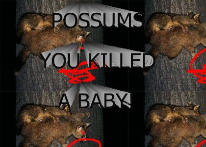 POSSUMS......