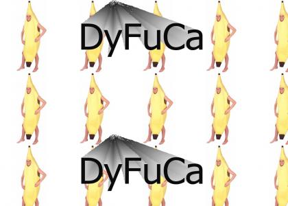 DyFuCa