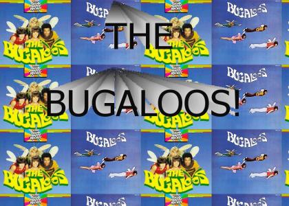 THE BUGALOOS!