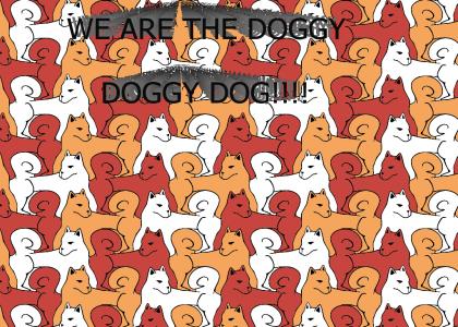 We are the Doggy  Doggy Dog