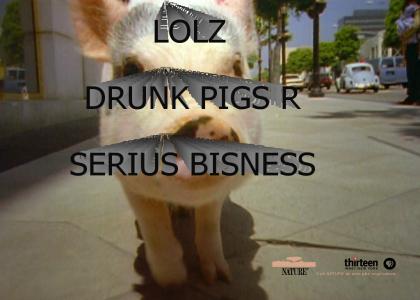 PIGS R SERIOUS BUSINESS