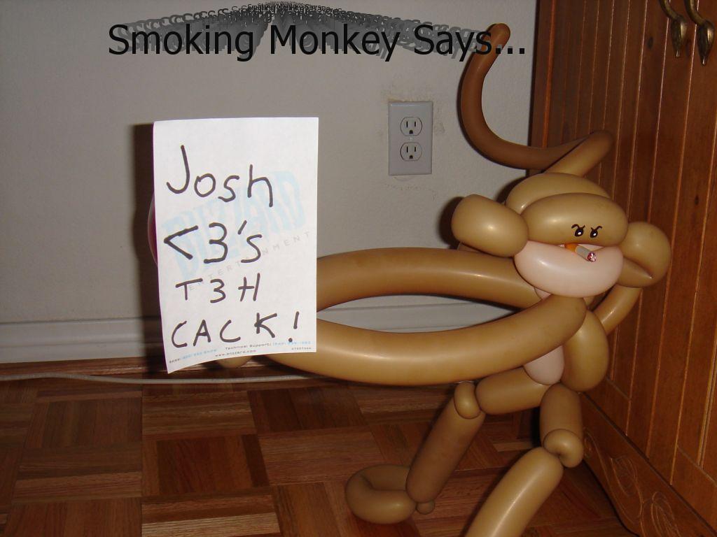monkeysays