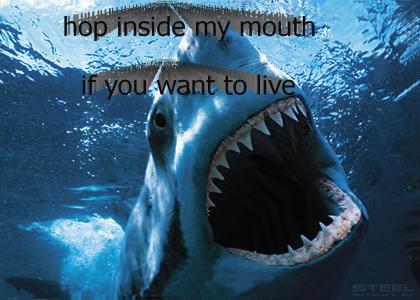 Hop inside my mouth