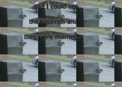 March loves Squirrels