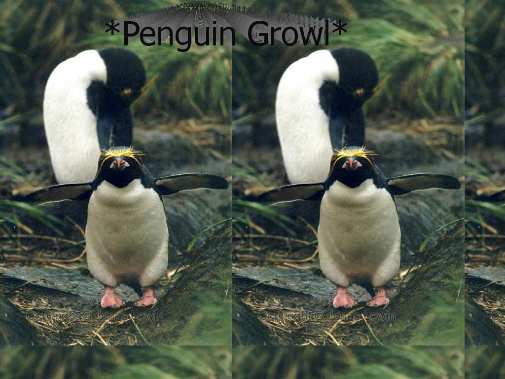 penguingrowl