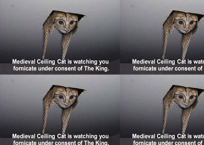 Medieval Ceiling Cat is watching you fornicate