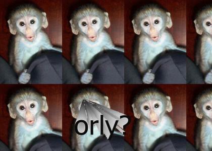 orly ape