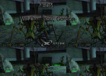NEDM Will Own You