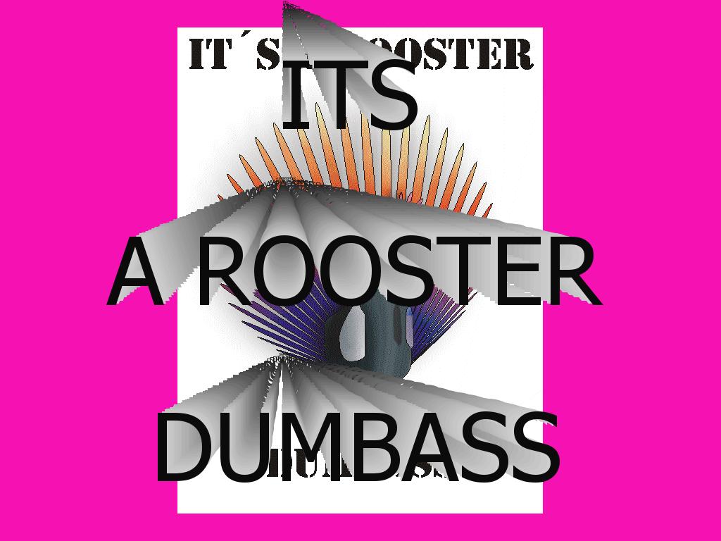 itsarooster