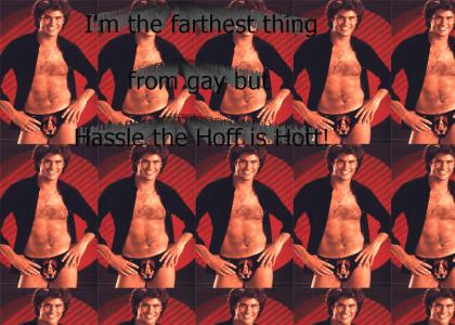 hasslethehoff