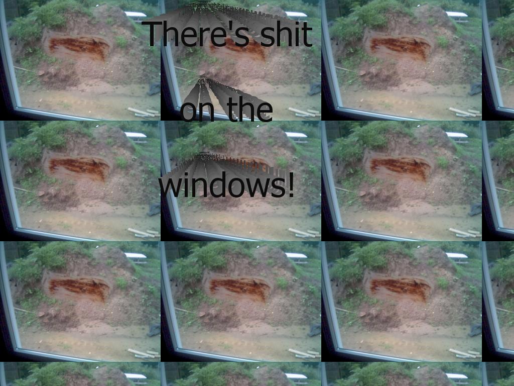 shitwindows