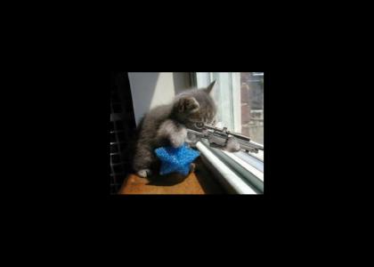 Kitty Sniper