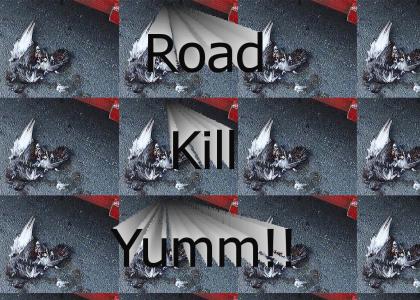 Road Kill Pigeon