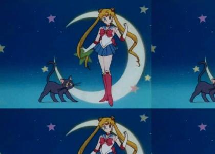 OMG, Secret Islamic Sailor Moon!