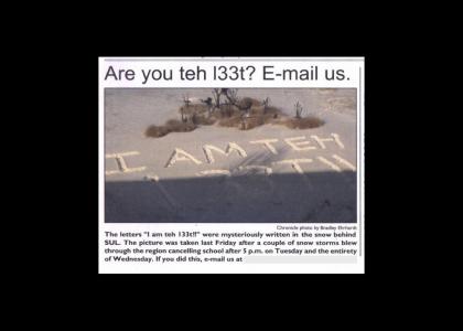 Are you teh l33t?