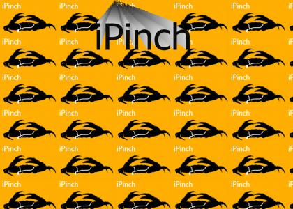 iPinch