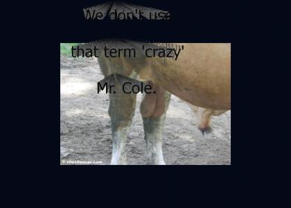 We don't use that term "crazy," Mr. Cole.