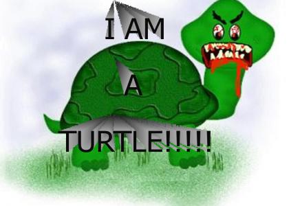 I AM A TURTLE!!!!