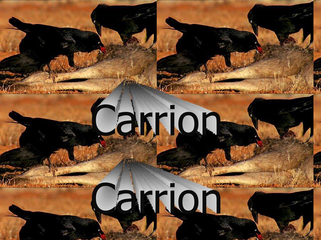 carrion