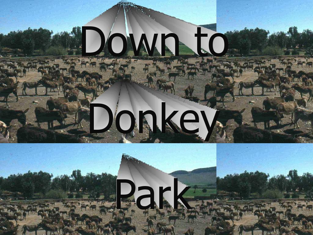 donkeypark