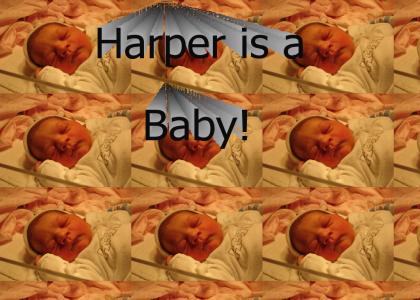 Harper