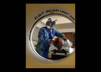 Cat Scan