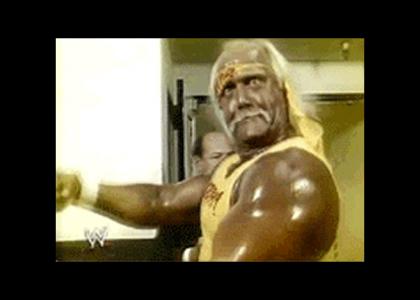 Hulk Hogan : ualuealuealeualeuale