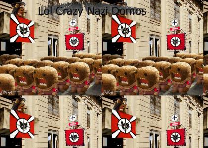 Lol Crazy Domo Nazis