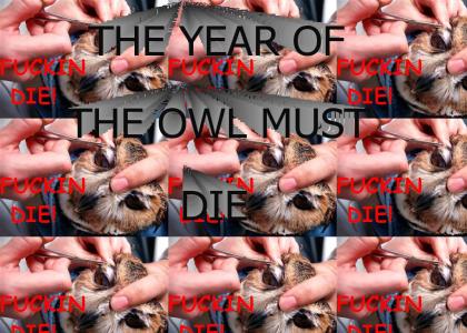 KILL THE OWL