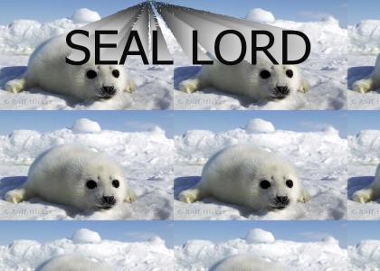 Seal baby arise