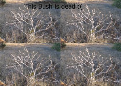 Bush is dead o.o