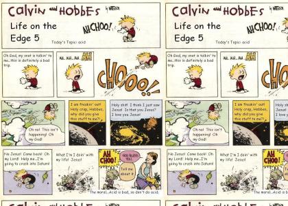 calvin + hobbes - life on the edge 5