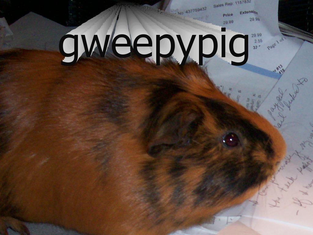 gweepypig