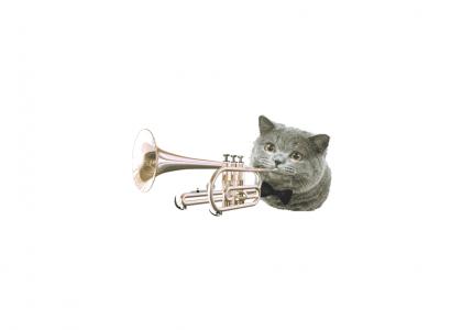 That cat can shure play that trumpet.