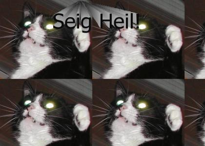 Seig Heil Cat!