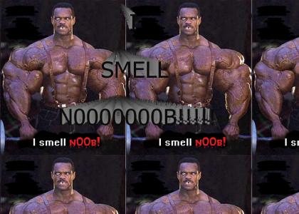 I SMELL N00B!