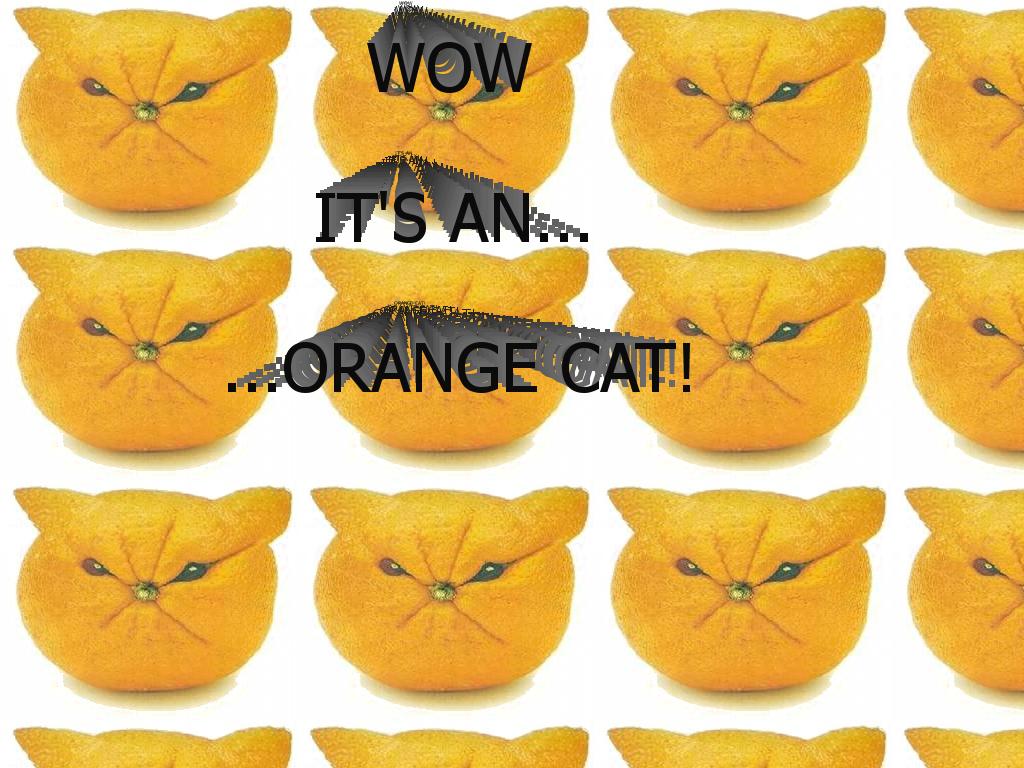 orangecat