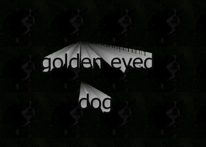 The Small Golden Eyed Dog